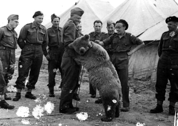 Wojtek, Poles' mascot.jpg