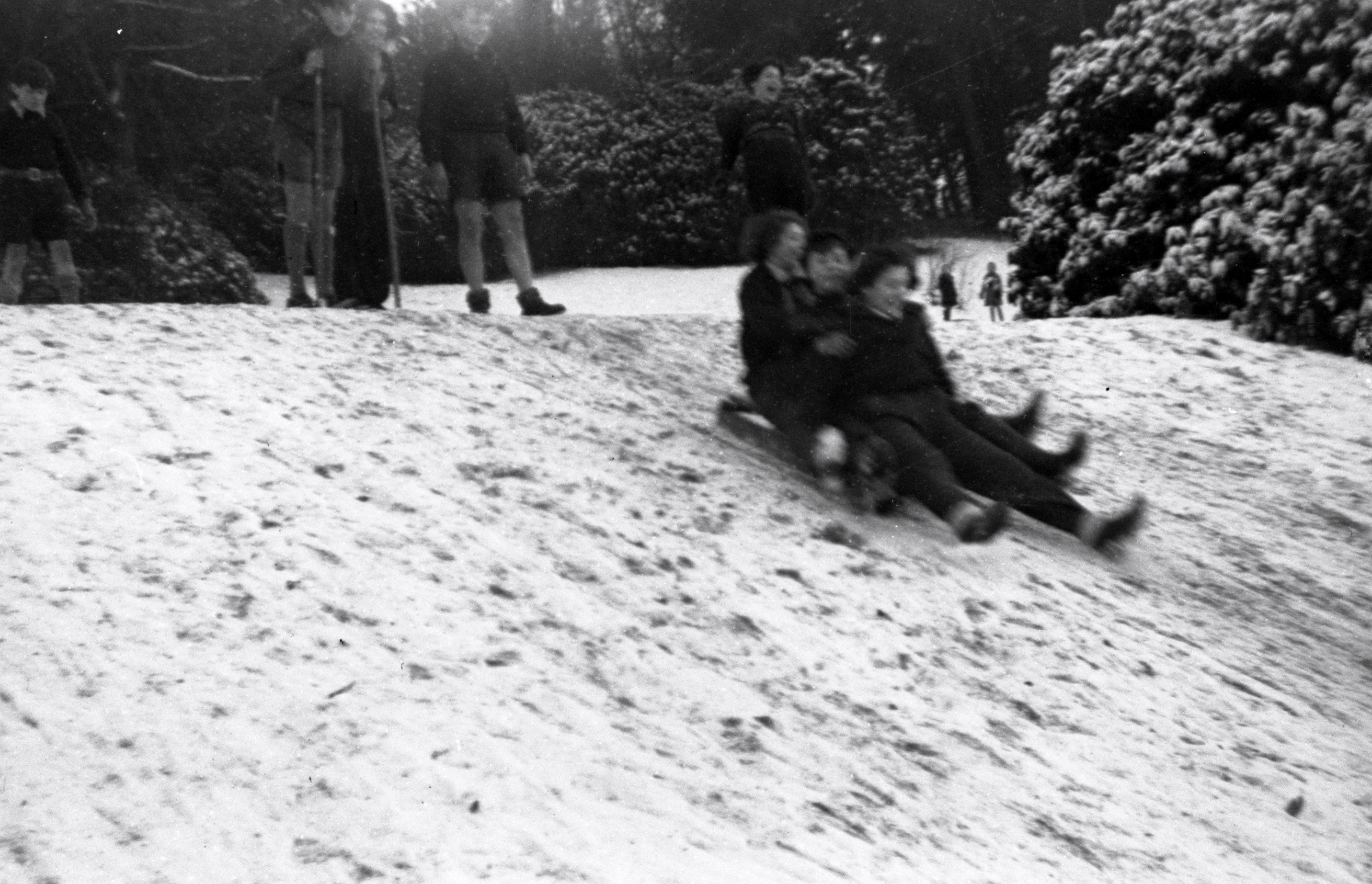 Sledging down a slope.jpg