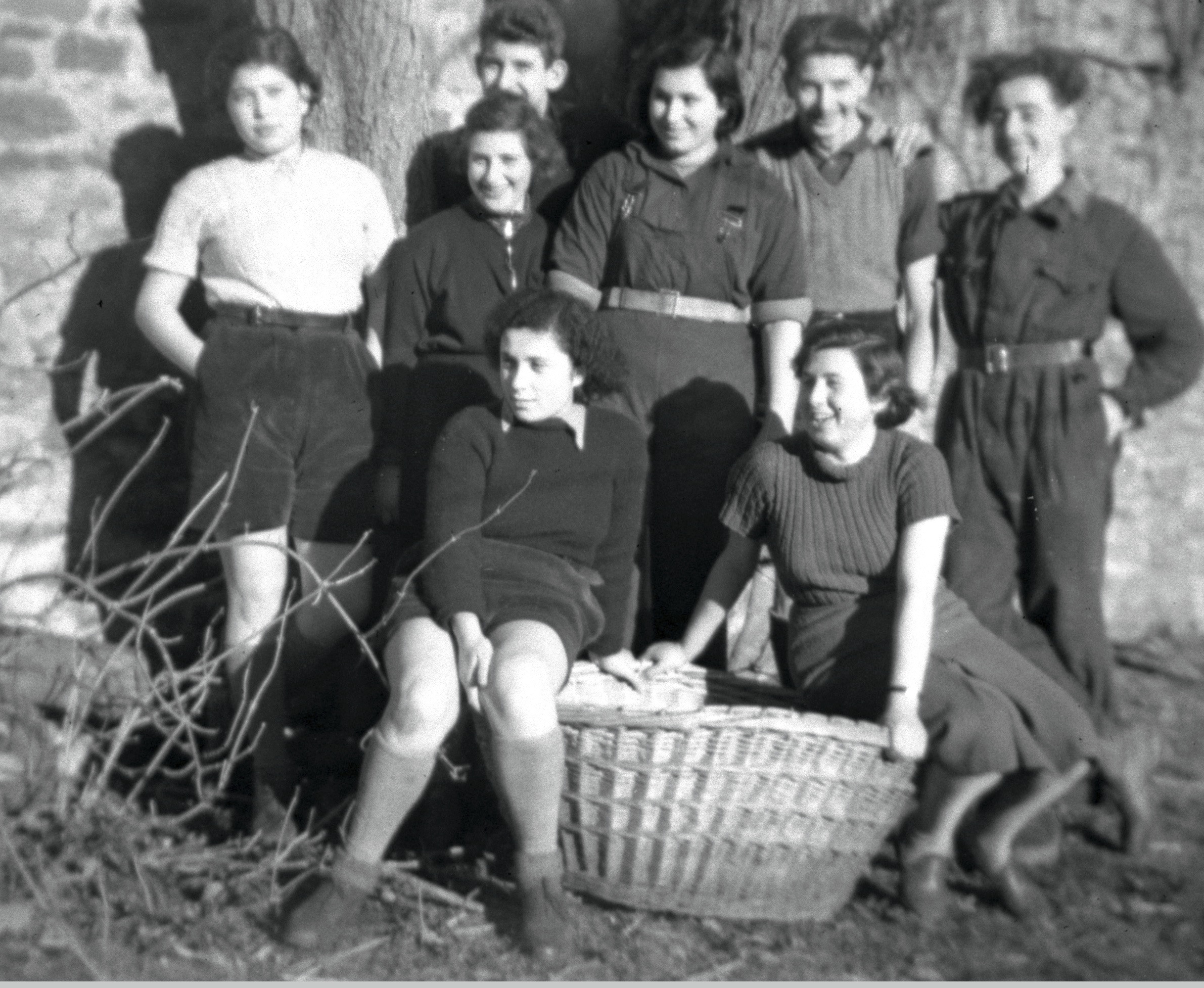Mixed group by basket.jpg