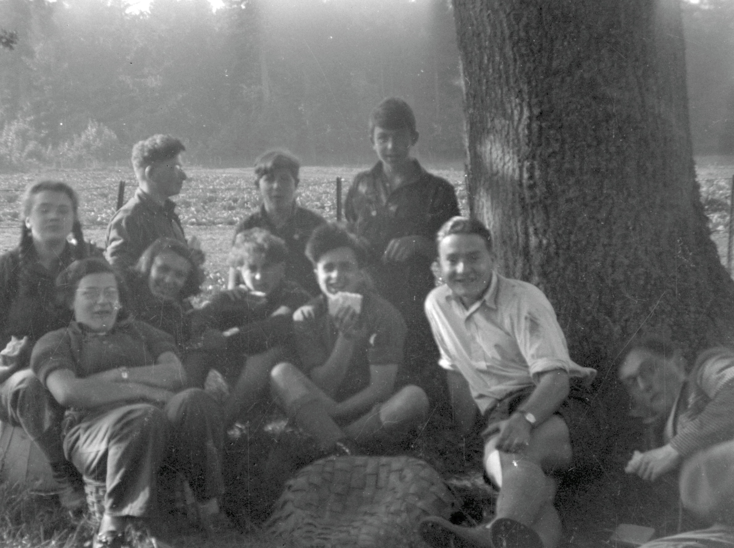 Mixed group by tree.jpg