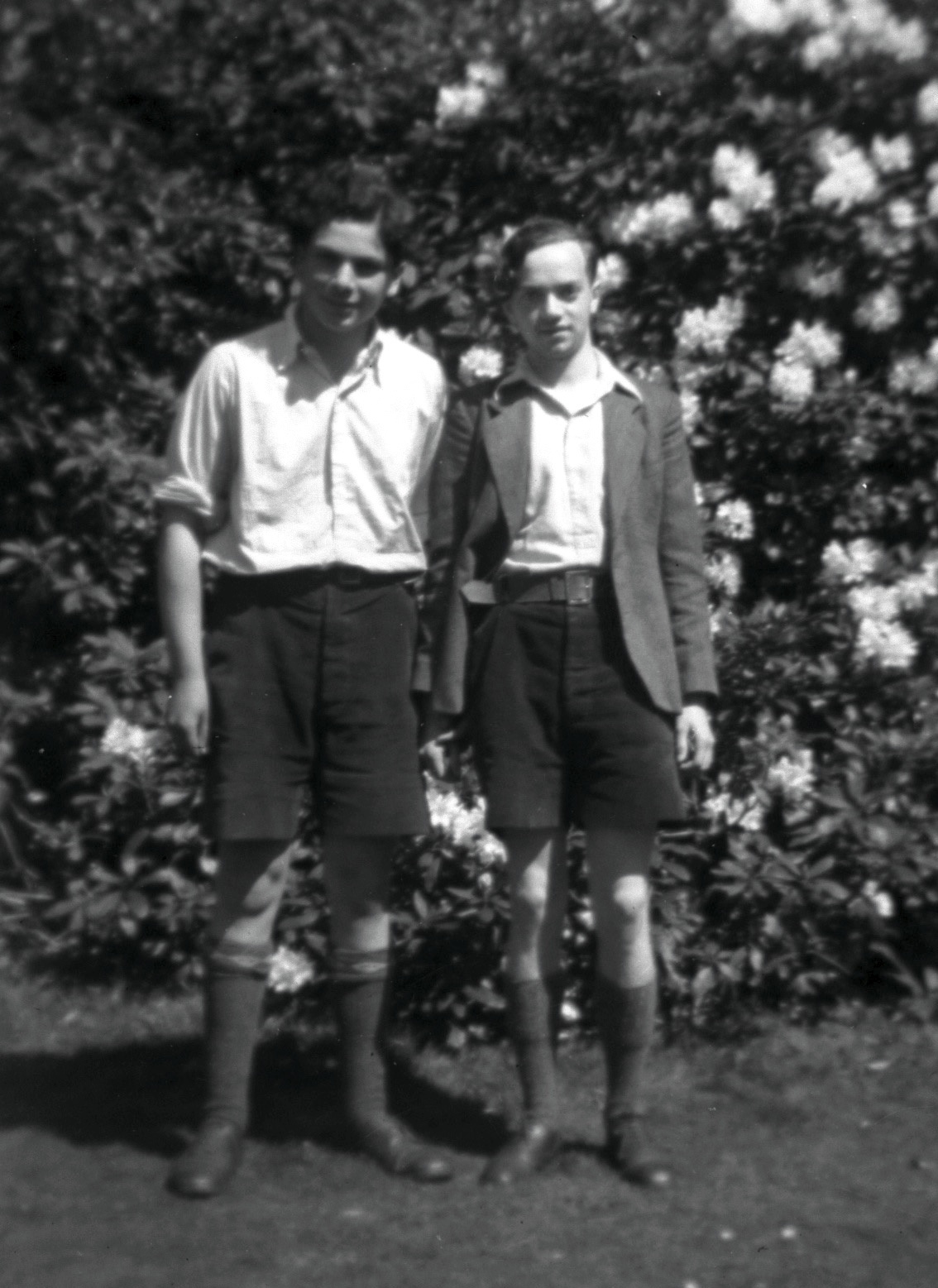 Two boys in front of a rhododendron.jpg