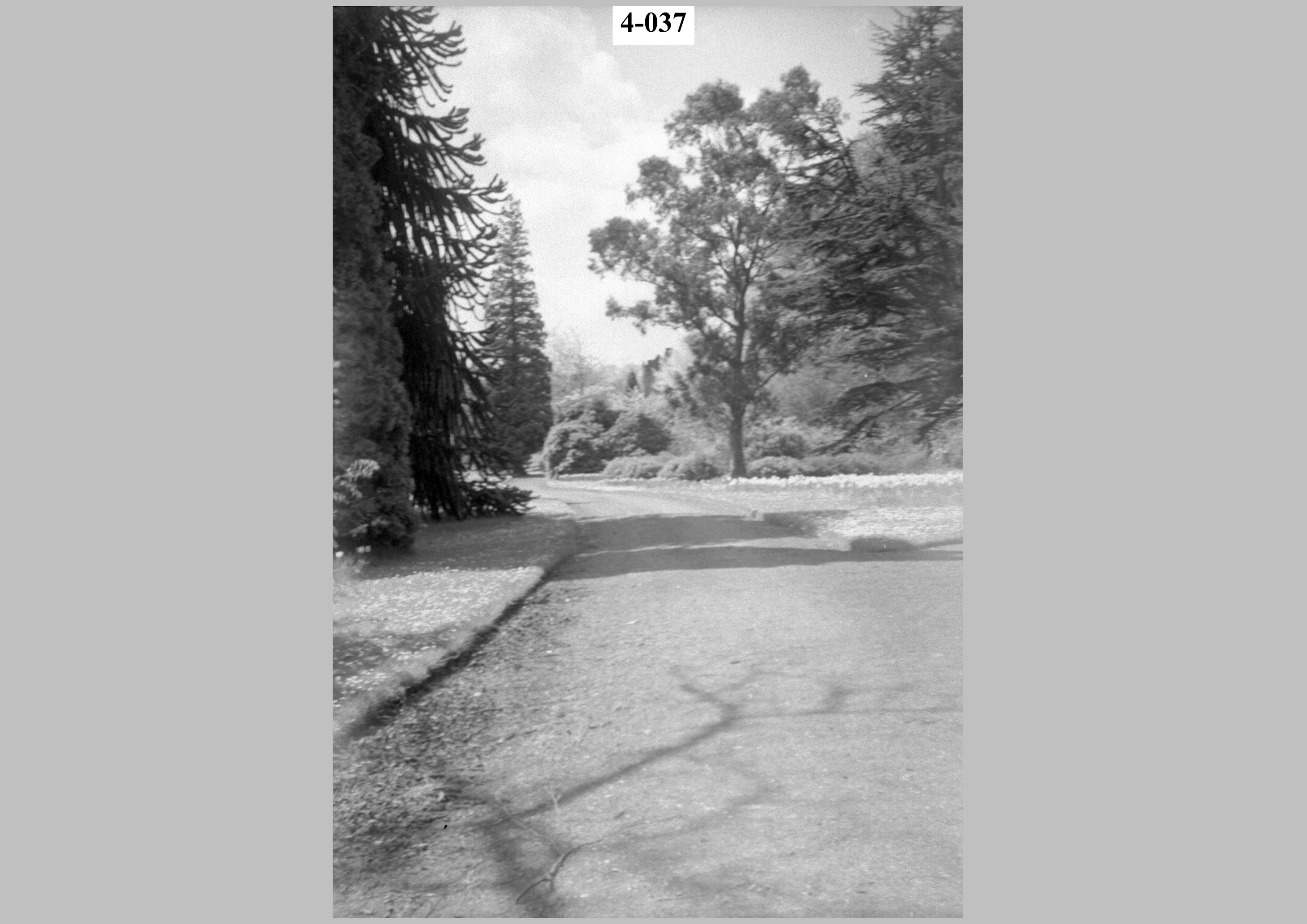 Driveway in snow.jpg
