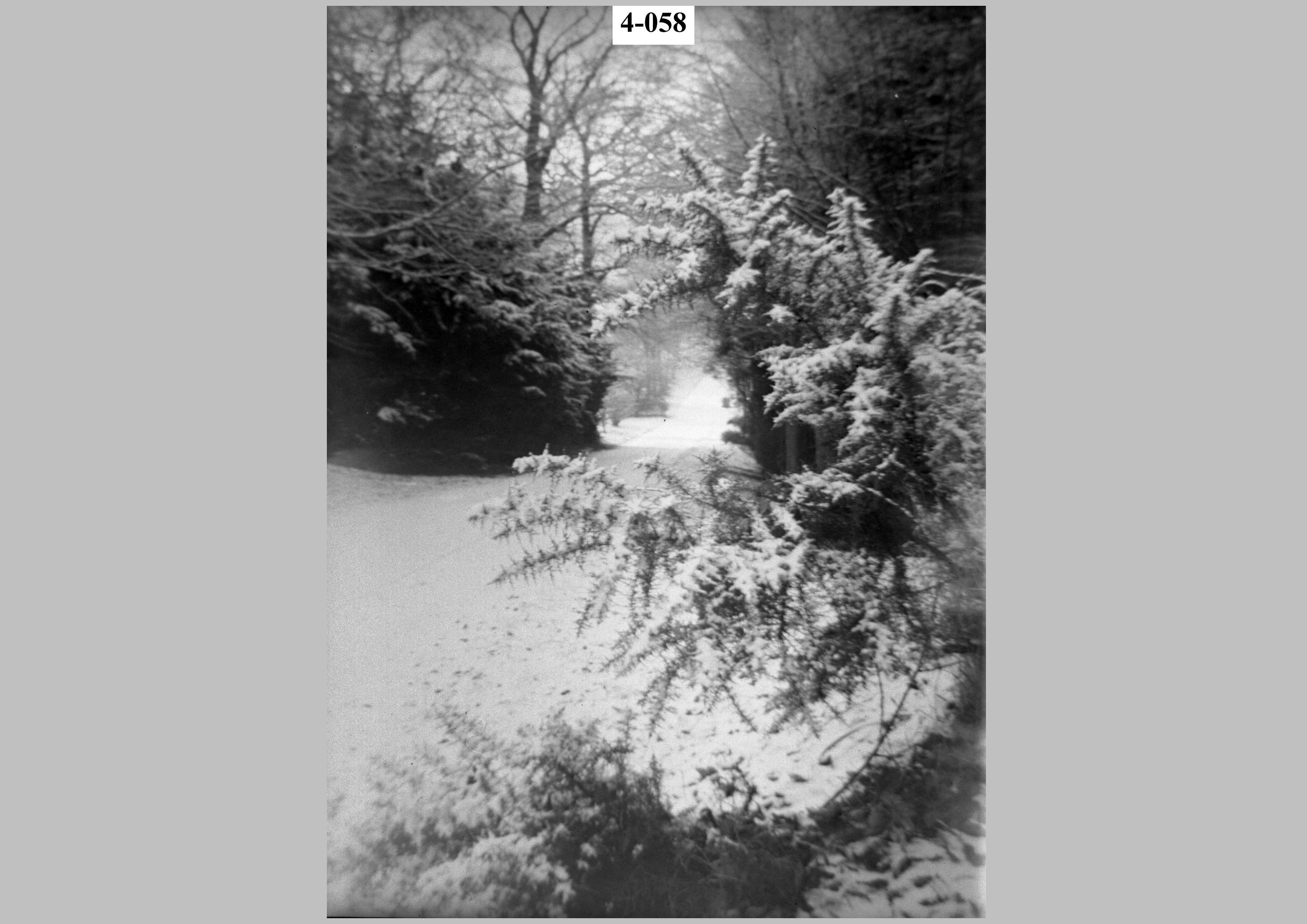 Snowscene.jpg