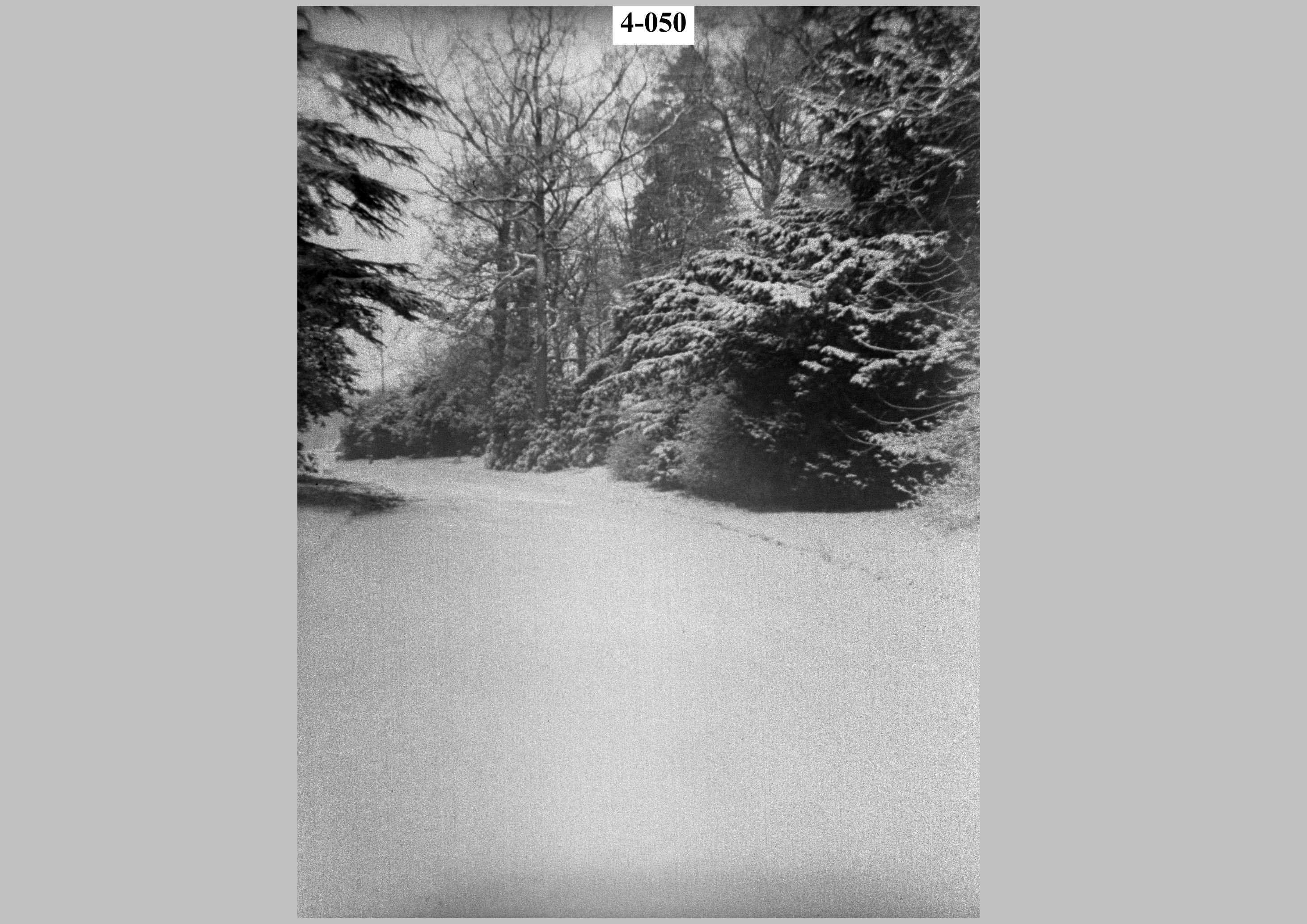 Snowscene2.jpg