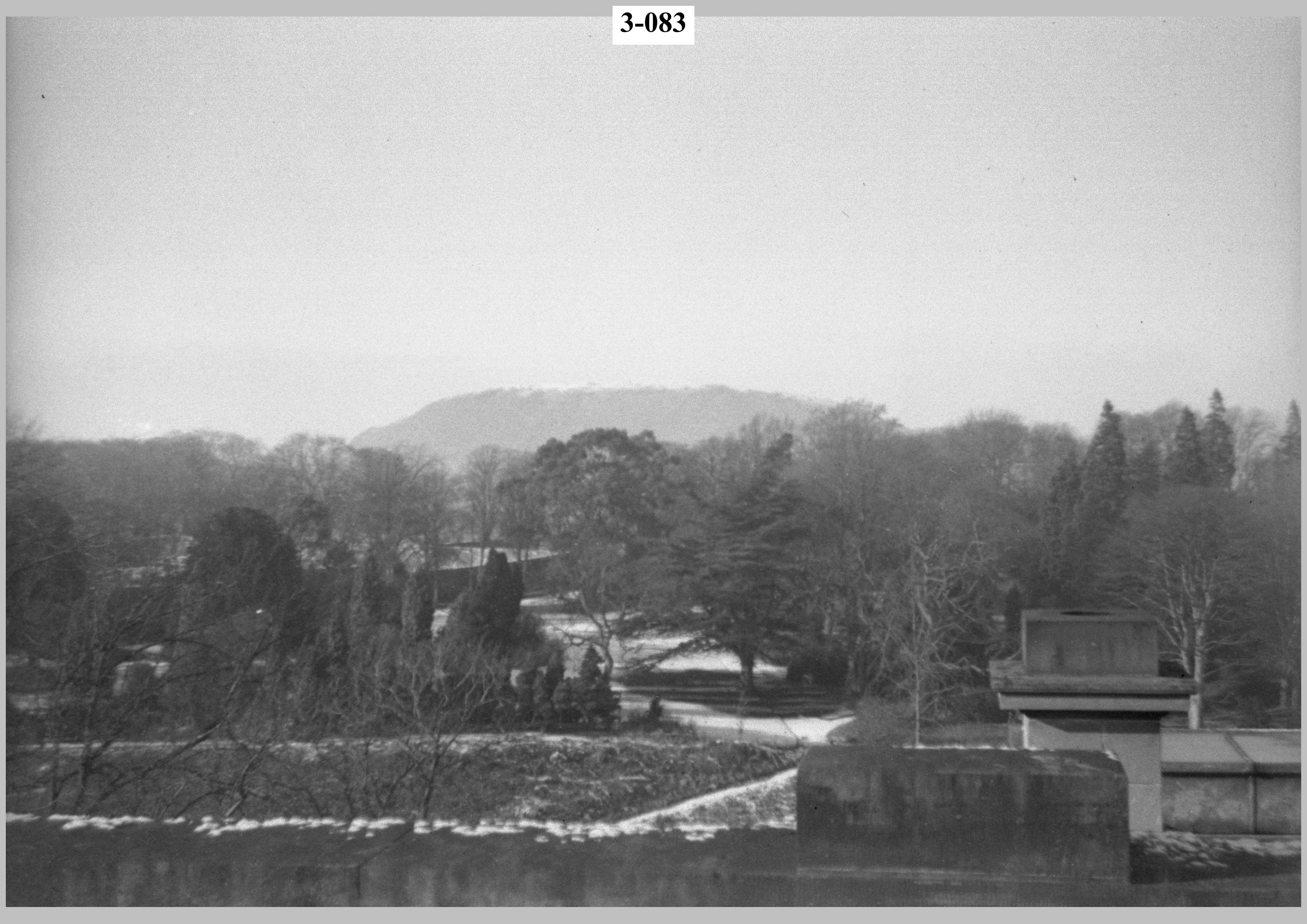 View from the house.jpg