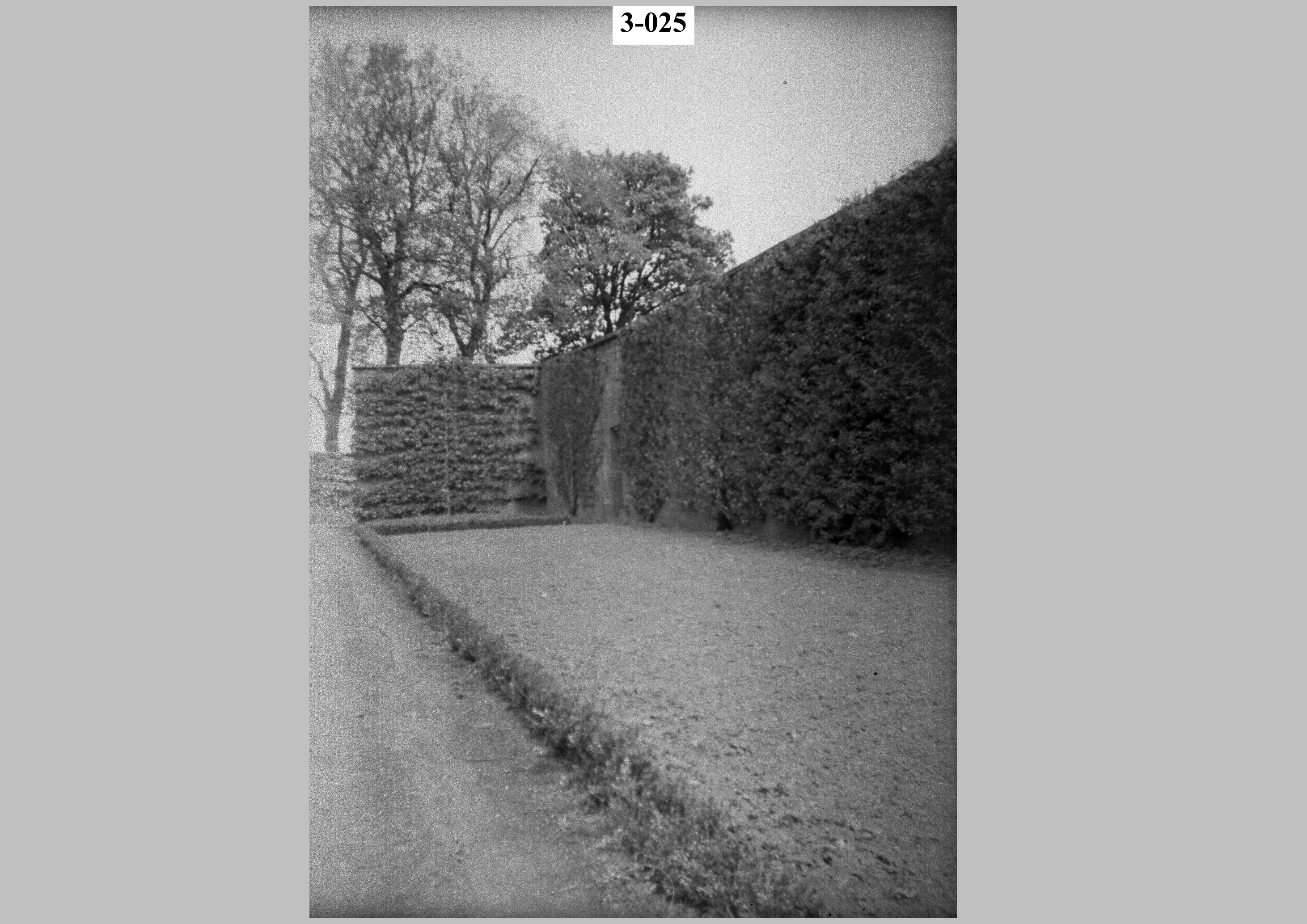 Well covered wall.jpg