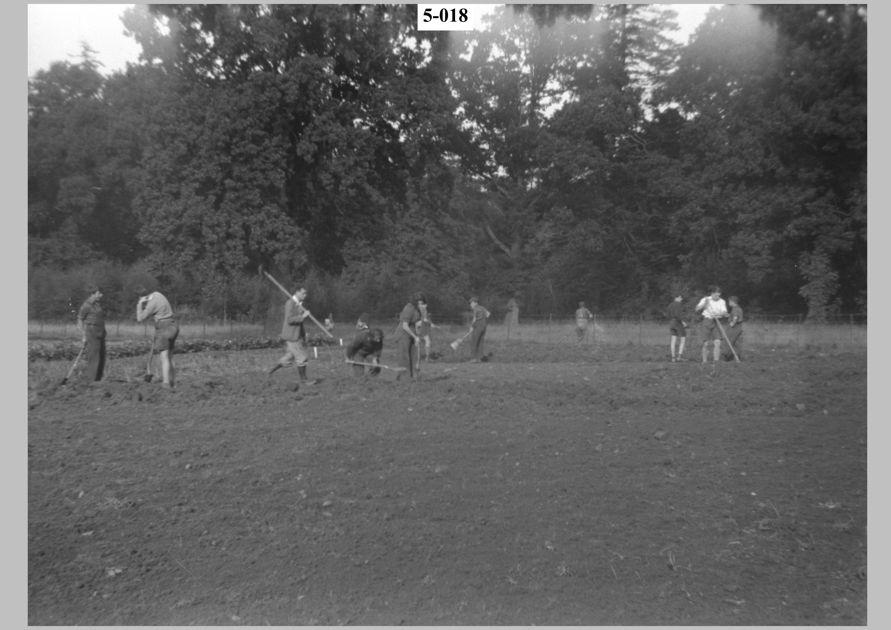 A group working in the field.jpg