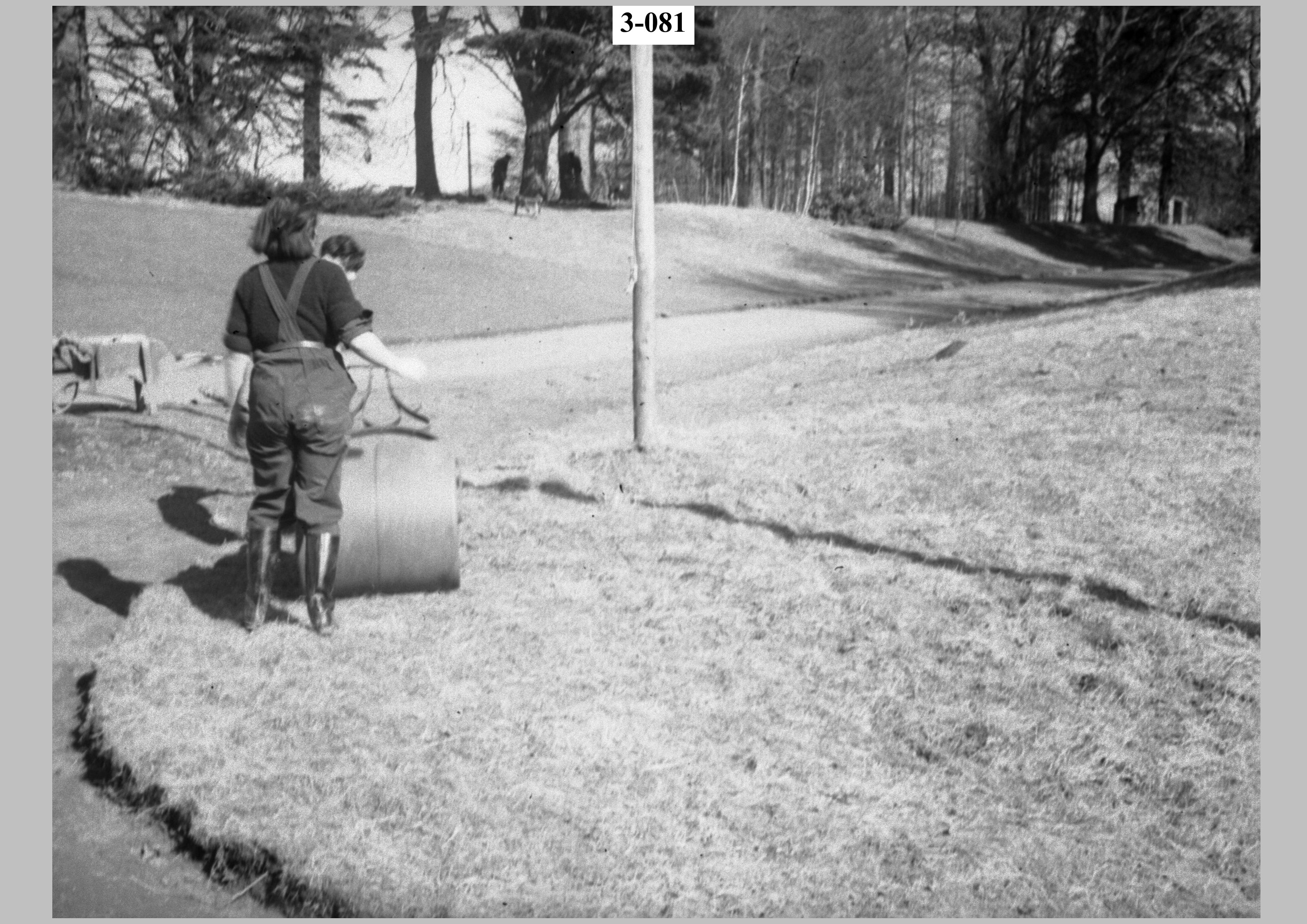 Boy and girl with roller1.jpg