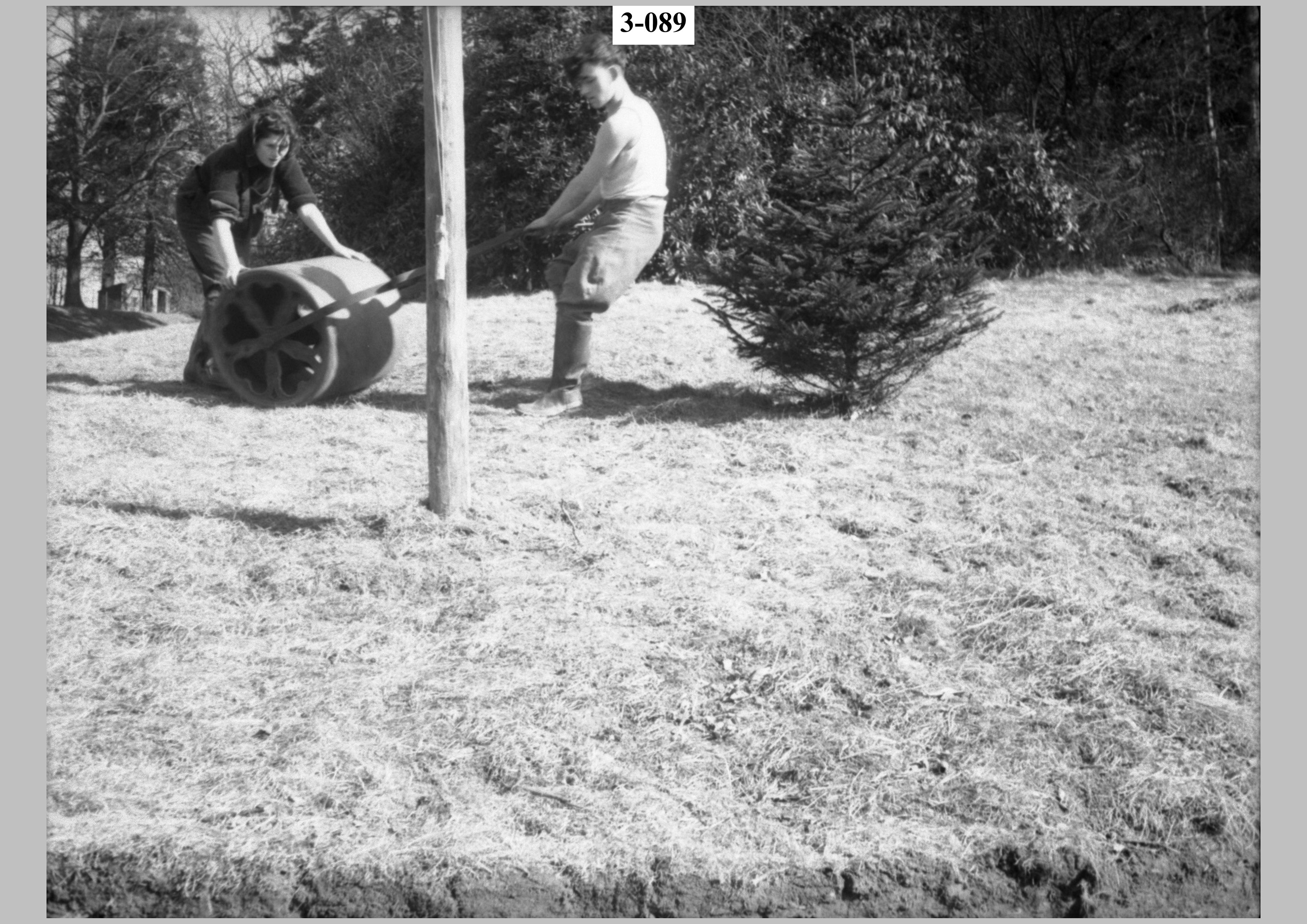 Boy and girl with roller3.jpg