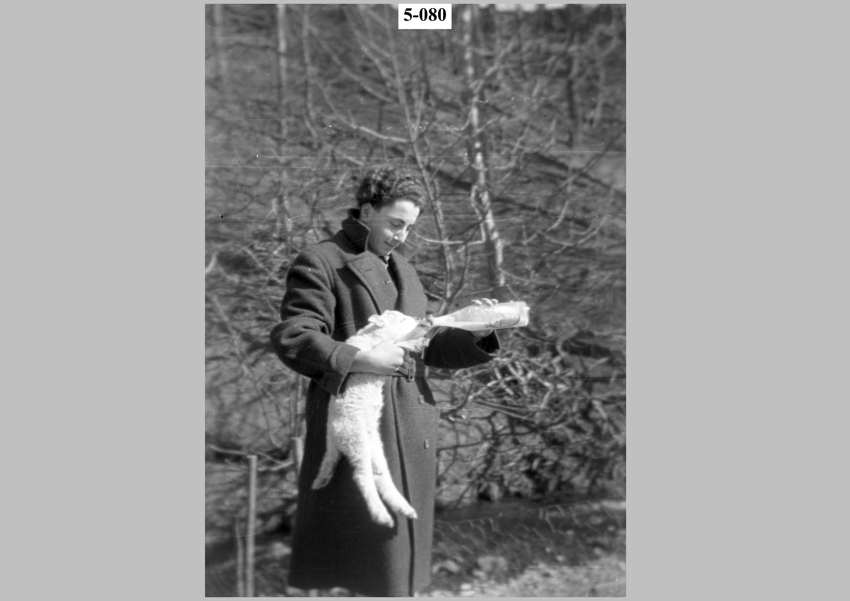 Boy feeding a lamb2.jpg