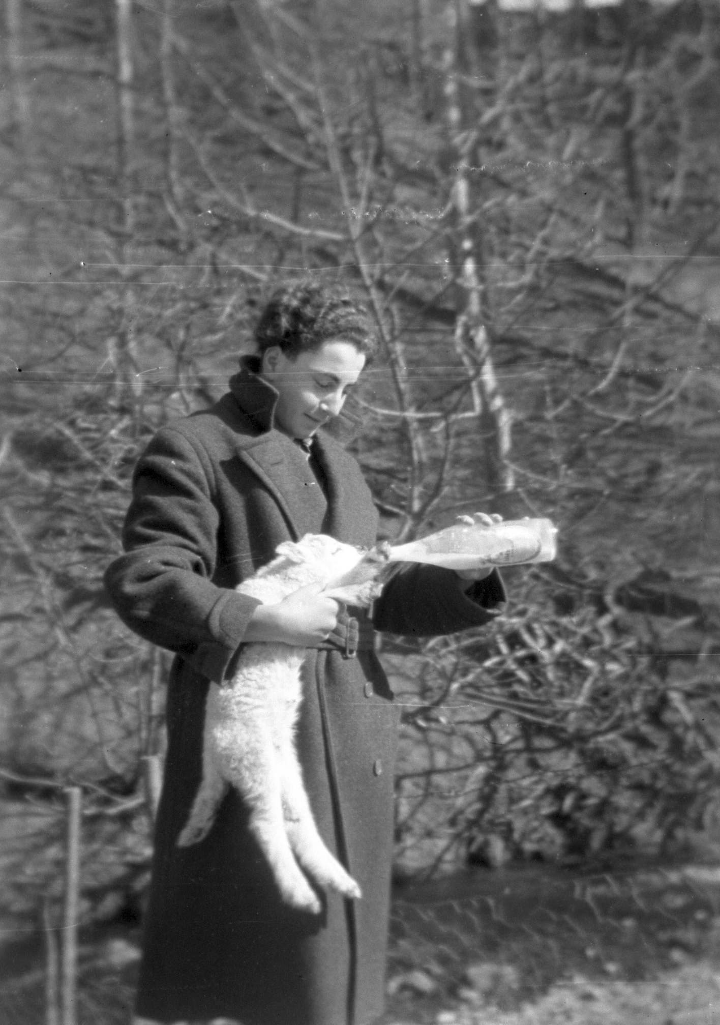 Boy feeding a lamb5.jpg