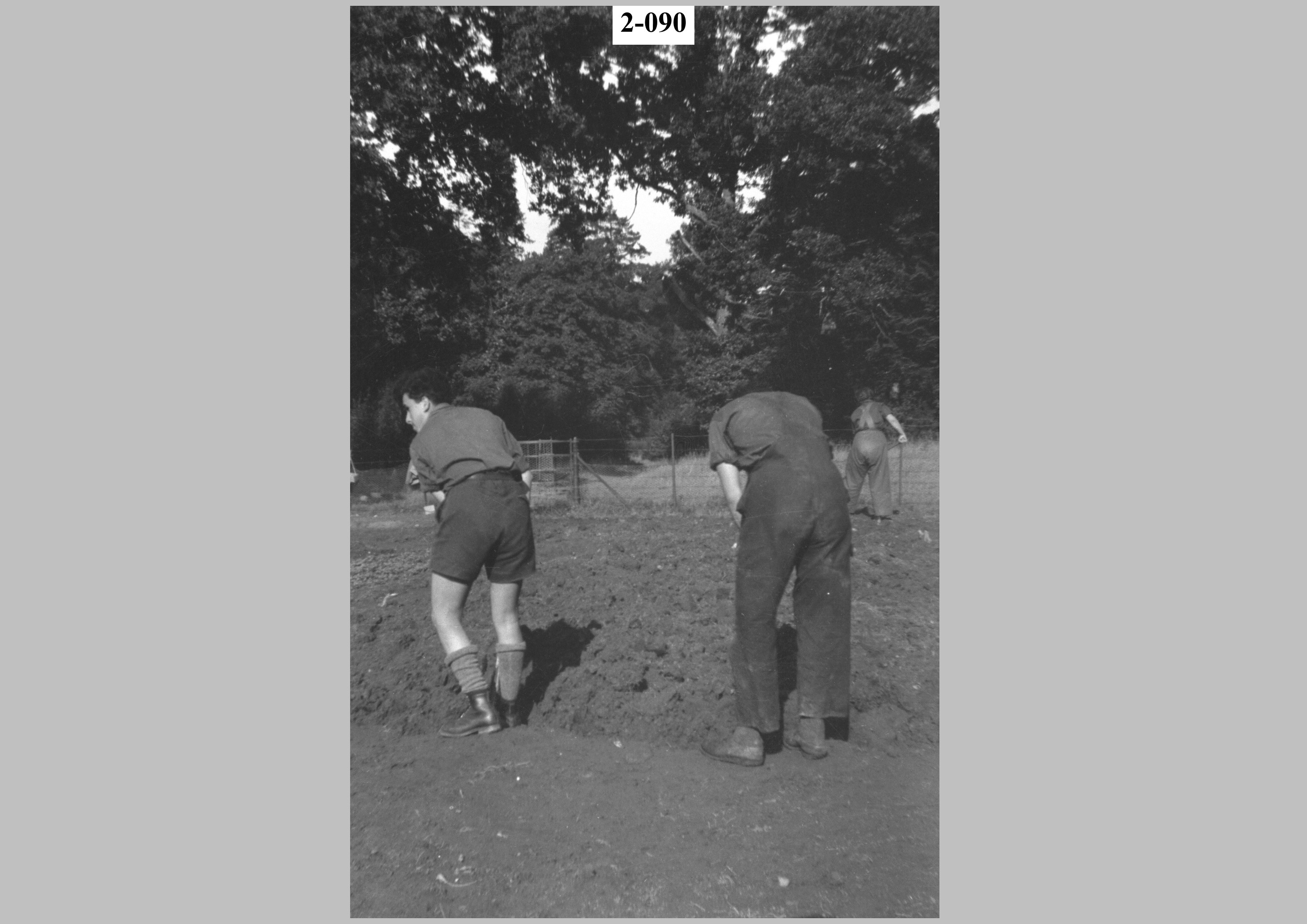 Boys digging.jpg