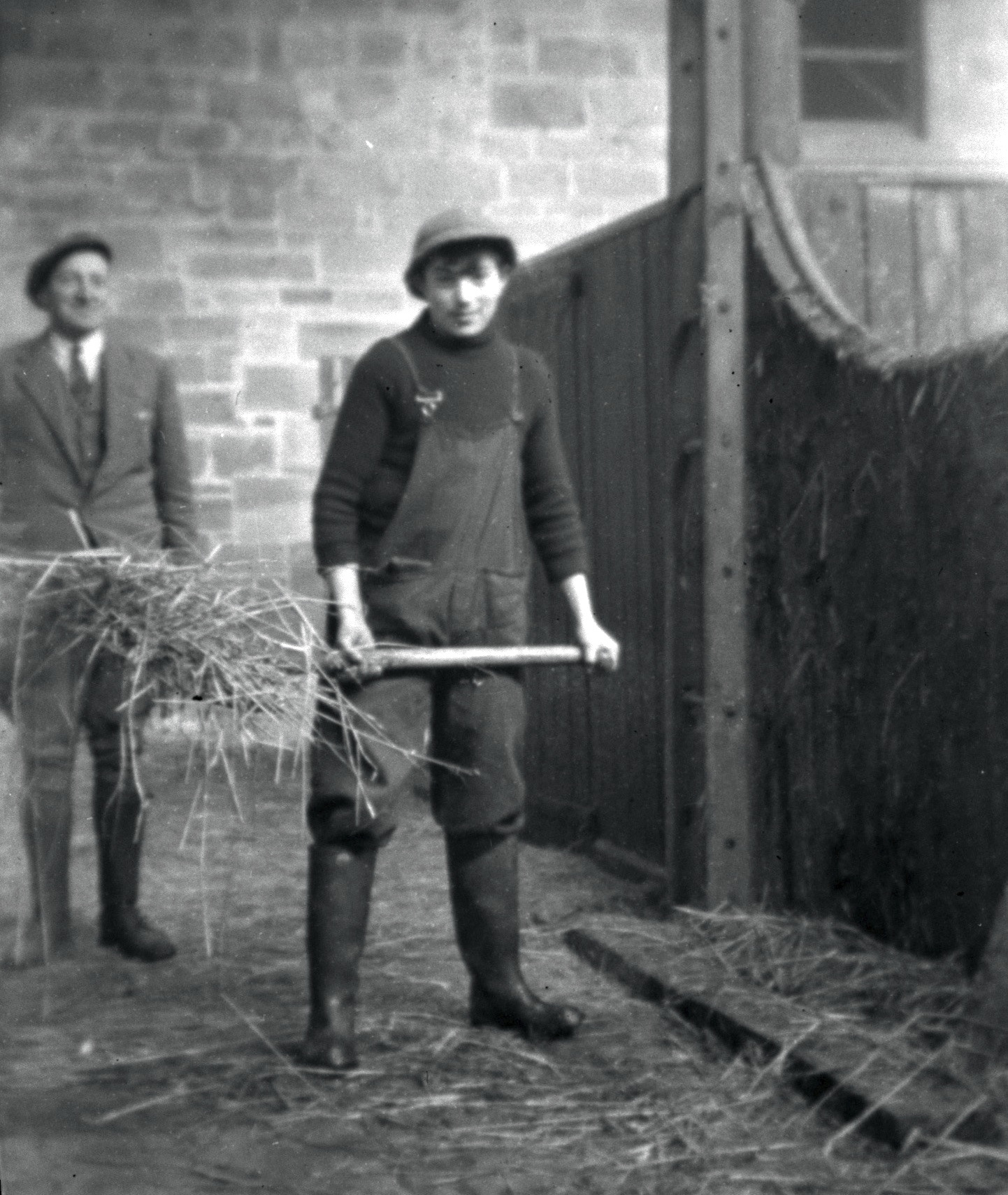 Work in the stable.jpg
