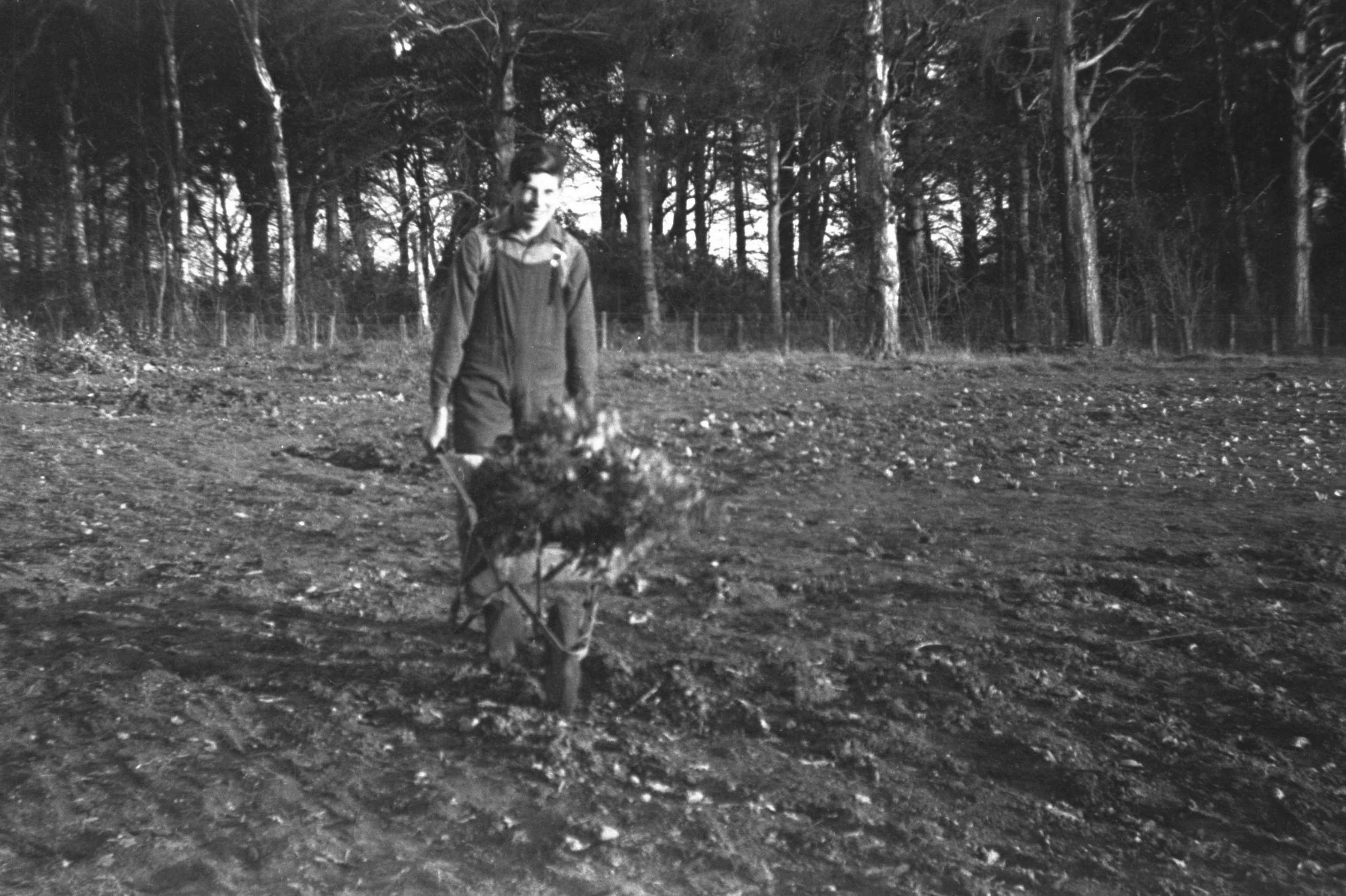 Working in the fields.jpg