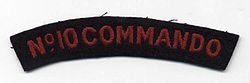 10 Commando Badge.jpg