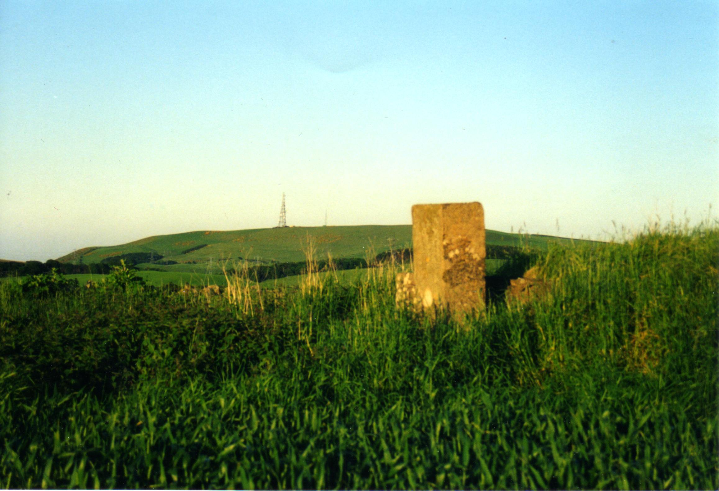 Decoy airfield at Halls Farm. Surface remains.jpg